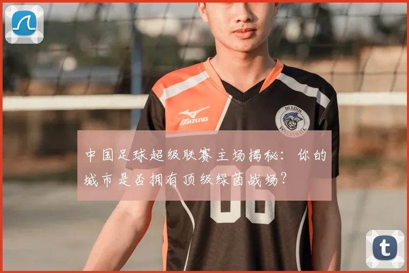 中国足球超级联赛主场揭秘：你的城市是否拥有顶级绿茵战场？